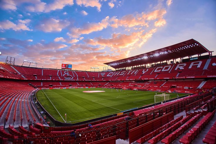Campo de juego